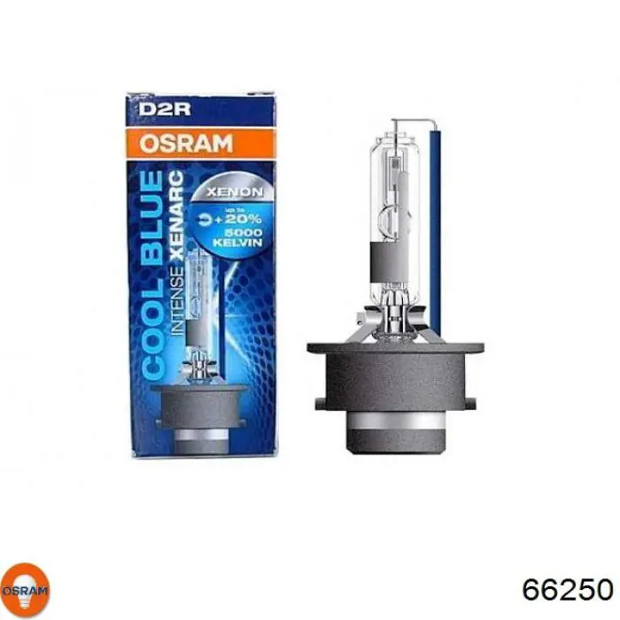 Bombilla de xenón 66250 Osram