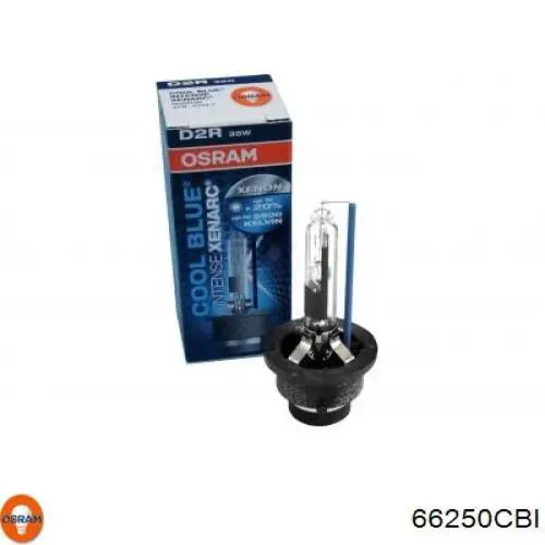 Comprar 66250CBI Osram Bombilla de xenón
