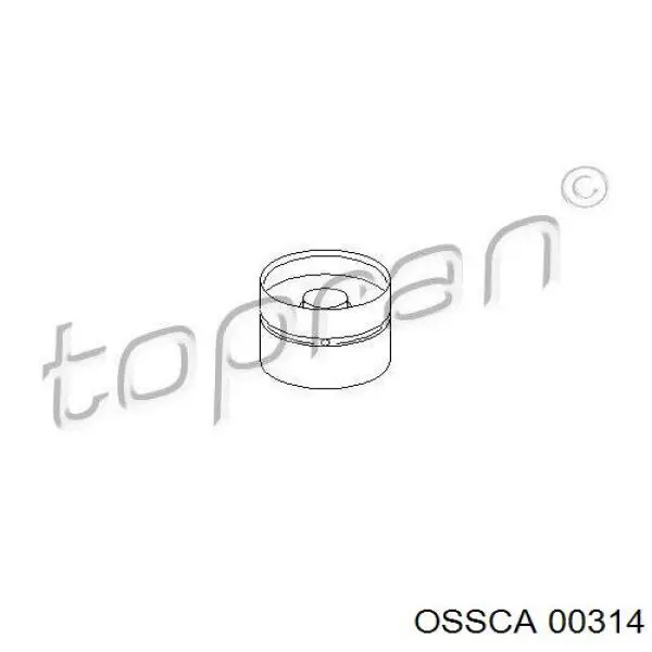 Suspensión, cuerpo del eje trasero Seat Toledo 2 1M2