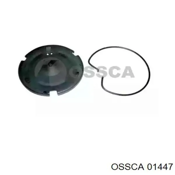 Separador de embrague VAG 55141124J precio, desde 10,67 EUR