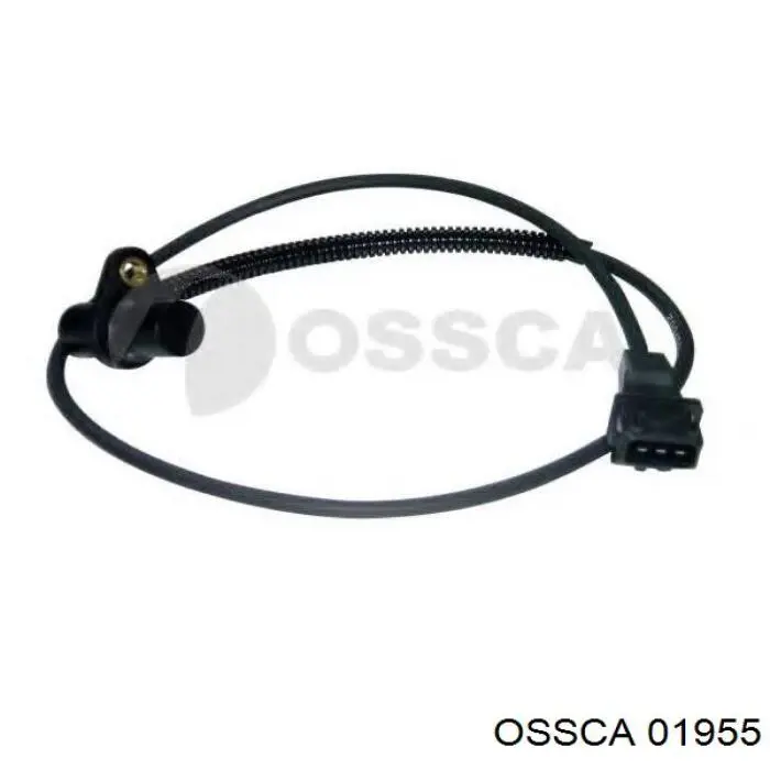 Volkswagen Passat 3A5, 351, 315