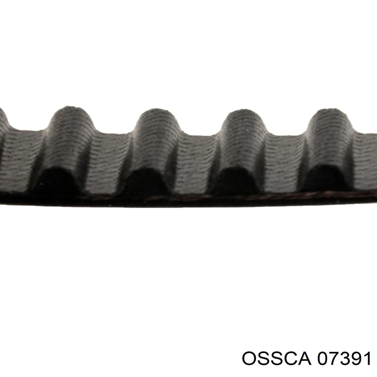Cerradura de capó Vika 88230122701 precio, desde 17,95 EUR
