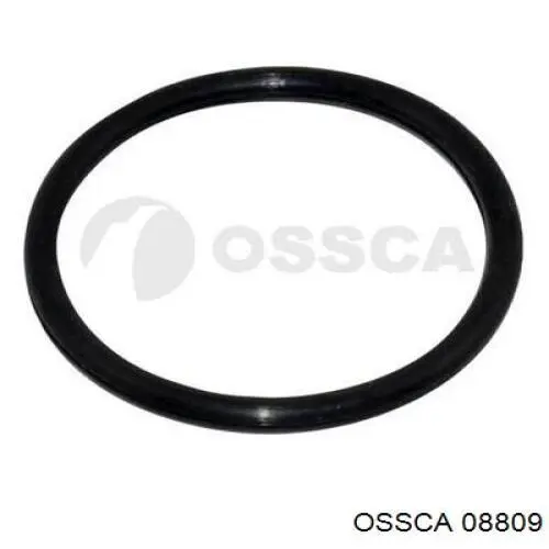 Empujador de válvula Alfa Romeo 146 930