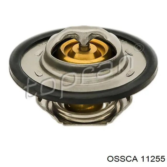 Termostato, refrigerante Renault Laguna 2 BG0, BG1