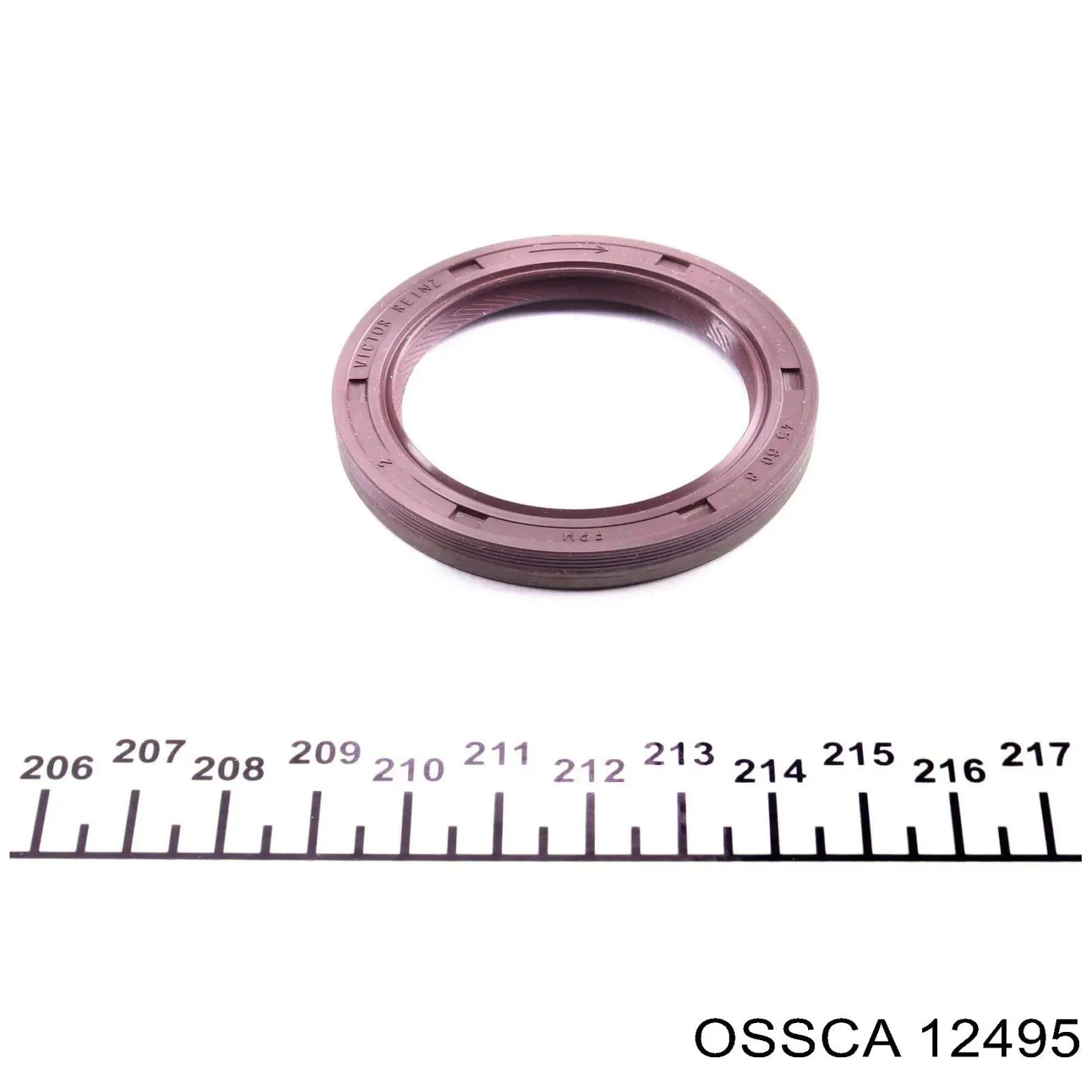 Comprar B19242 Borsehung Retén de cigüeñal frontal