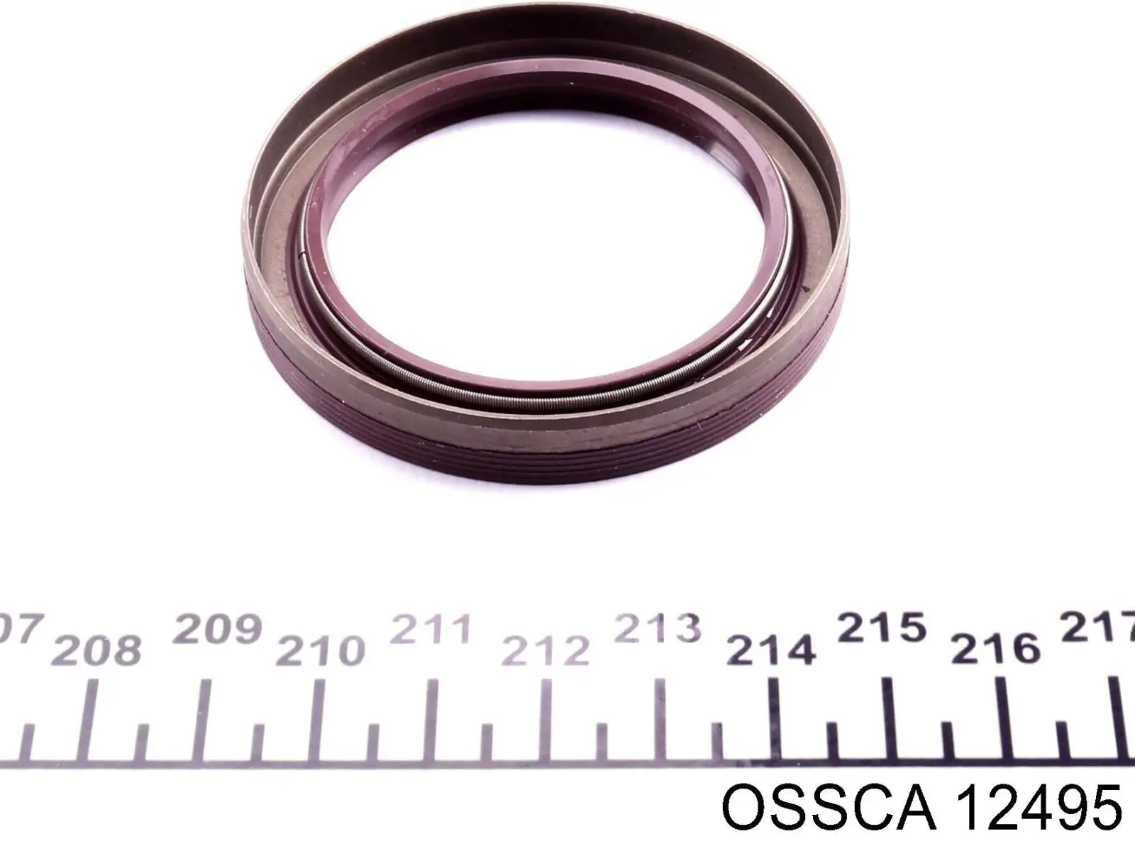 Retén de cigüeñal frontal Borsehung B19242 precio, desde 9,08 EUR