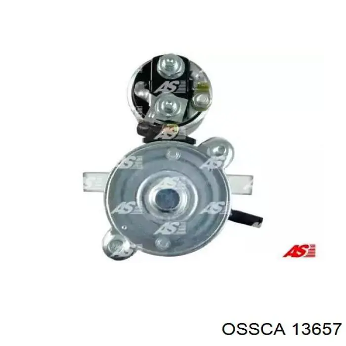 13657 Ossca