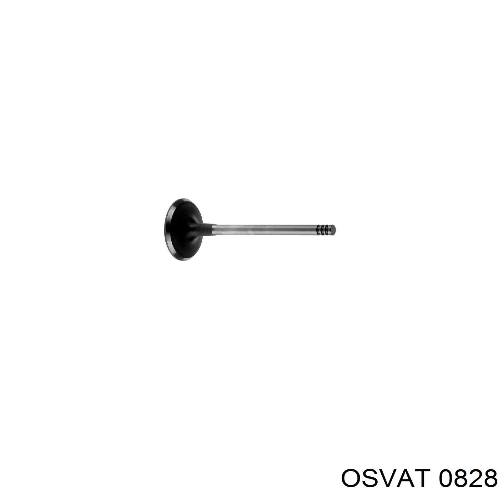 0828 Osvat