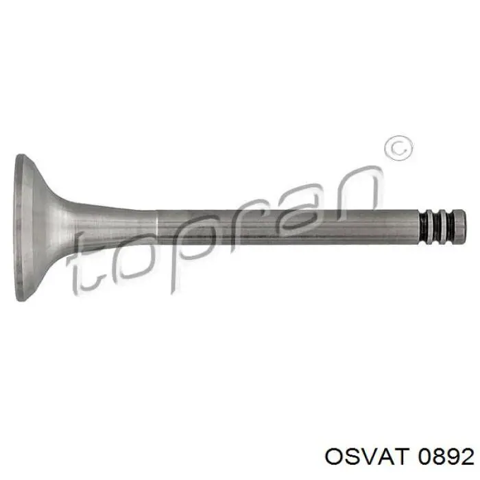 0892 Osvat