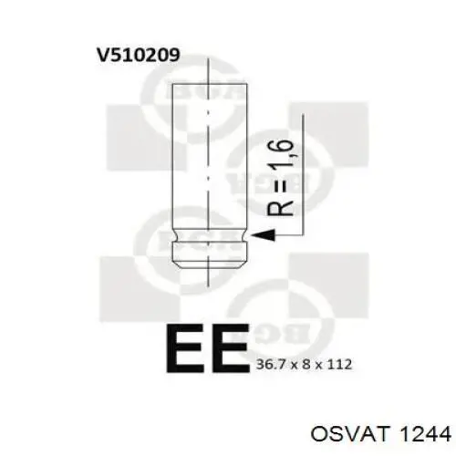 1244 Osvat