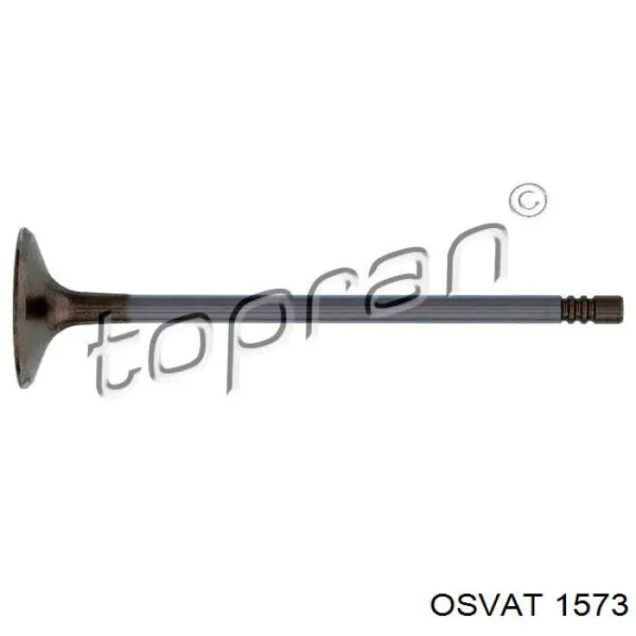 641051 Opel Válvula de admisión