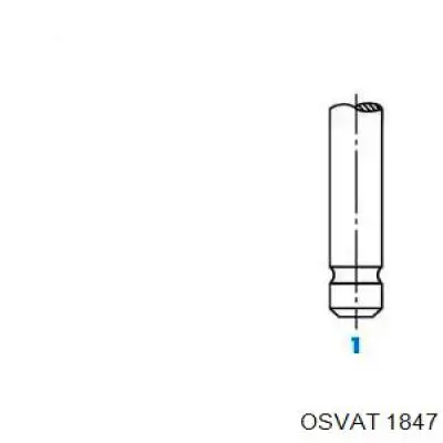 1847 Osvat válvula de admisión