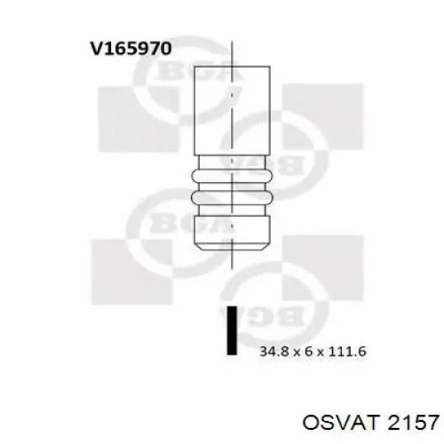 2157 Osvat
