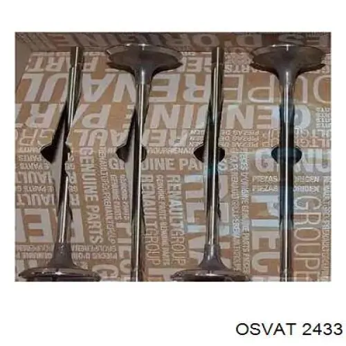 2433 Osvat