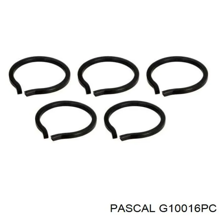 G10016PC Pascal junta homocinética exterior delantera