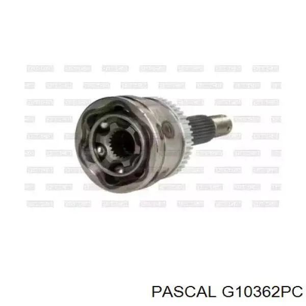 Comprar G10362PC Pascal Junta homocinética exterior trasera