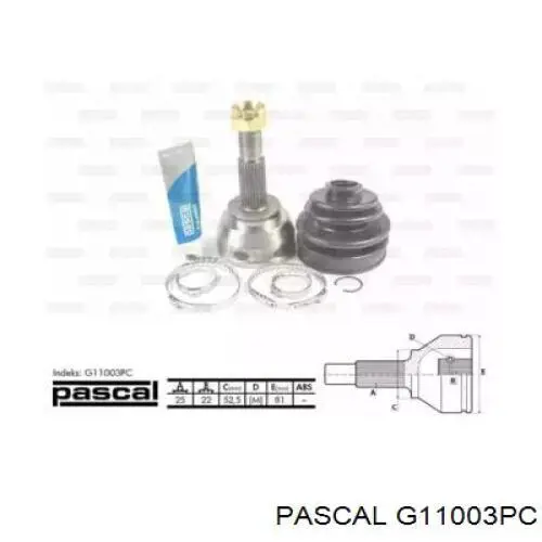 Comprar G11003PC Pascal Junta homocinetica