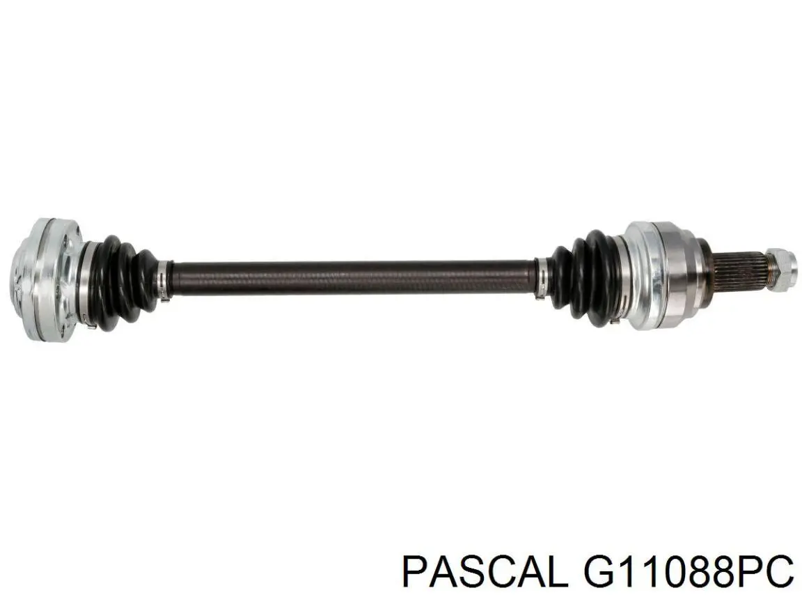 G11088PC Pascal junta homocinética exterior delantera