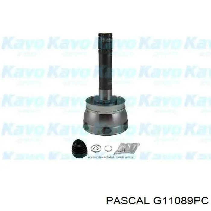 G11089PC Pascal Junta homocinética
