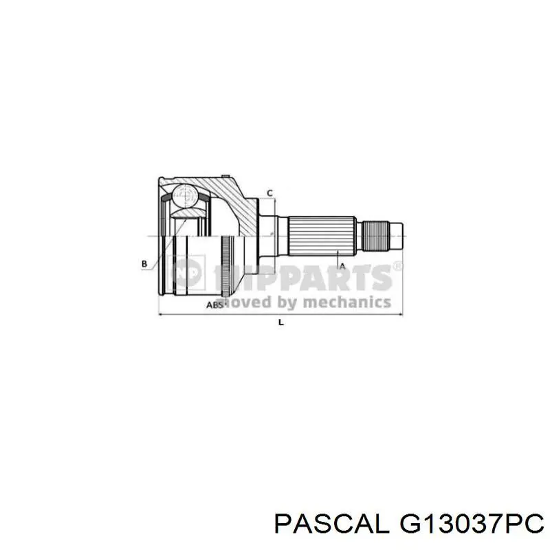 G13037PC Pascal junta homocinética exterior delantera