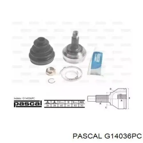 Comprar G14036PC Pascal Junta homocinetica