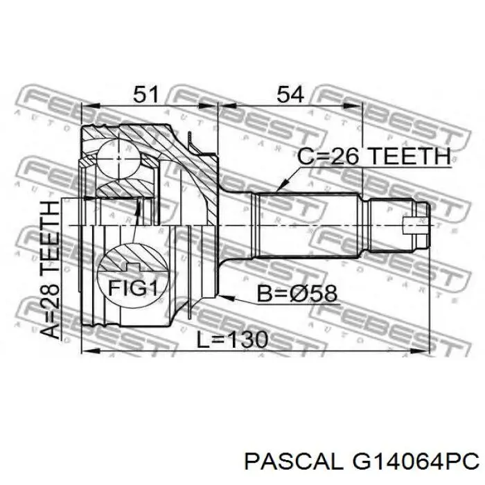 Comprar G14064PC Pascal Junta homocinetica