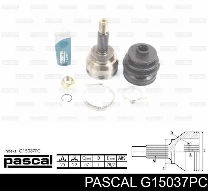 Comprar G15037PC Pascal Junta homocinetica