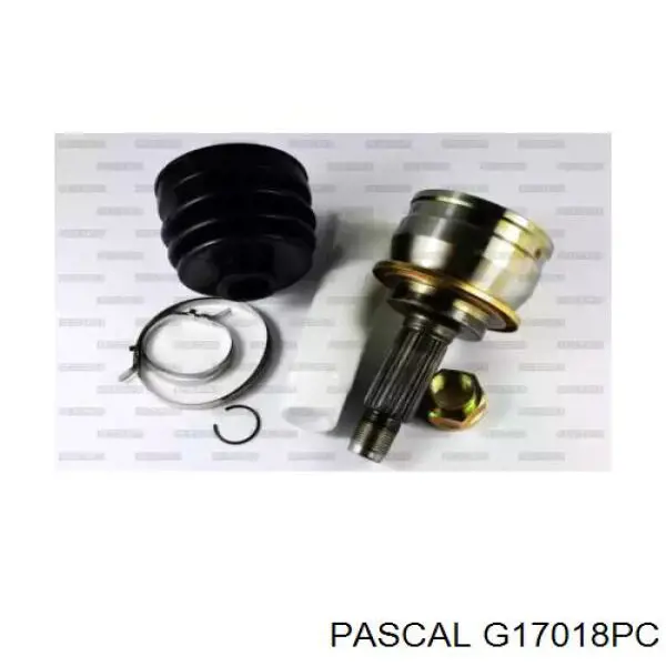 Comprar G17018PC Pascal Junta homocinetica