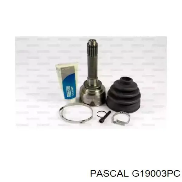 G19003PC Pascal