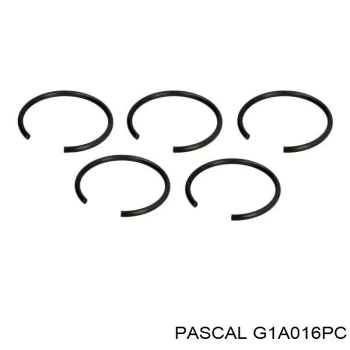 Junta homocinética exterior delantera Pascal G1A016PC precio, desde 46,42 EUR