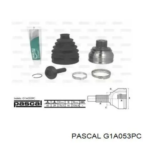 G1A053PC Pascal junta homocinética exterior delantera