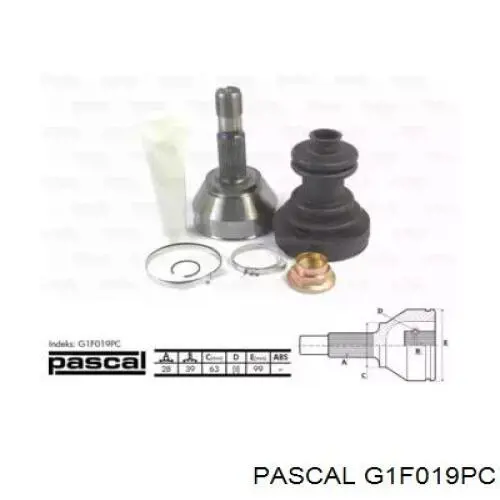 Comprar G1F019PC Pascal Junta homocinetica