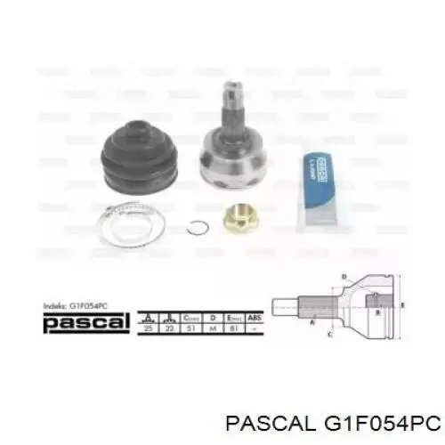 Junta homocinética exterior delantera Pascal G1F054PC precio, desde 34,89 EUR