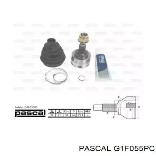 G1F055PC Pascal junta homocinética exterior delantera