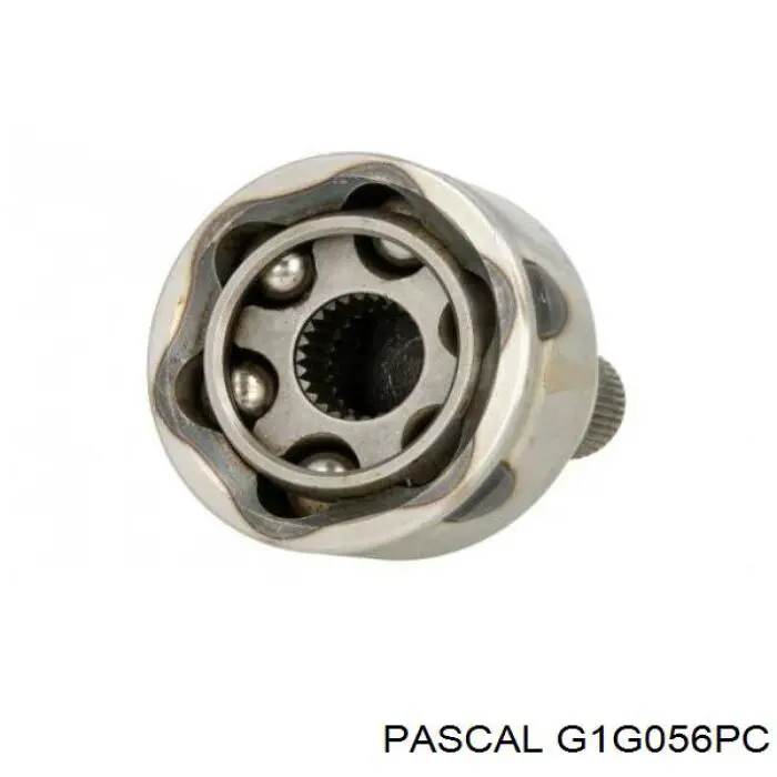Comprar G1G056PC Pascal Junta homocinetica