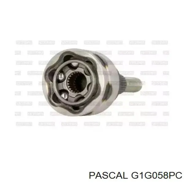 Junta homocinética exterior delantera Pascal G1G058PC precio, desde 29,92 EUR