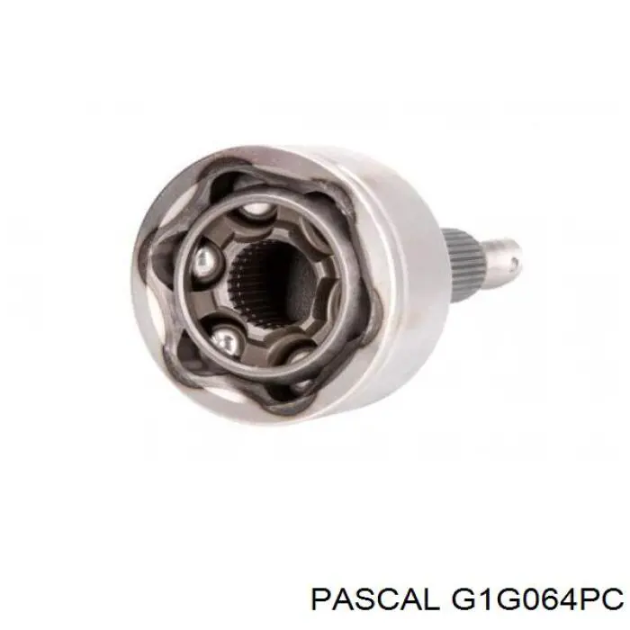 Junta homocinética exterior delantera Pascal G1G064PC