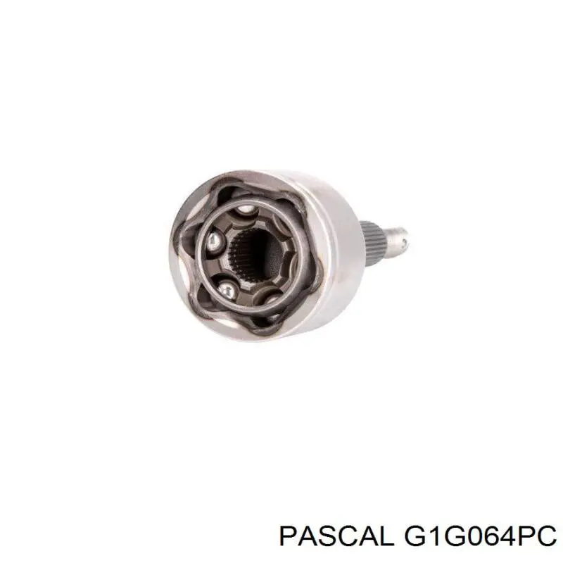 G1G064PC Pascal Junta homocinética