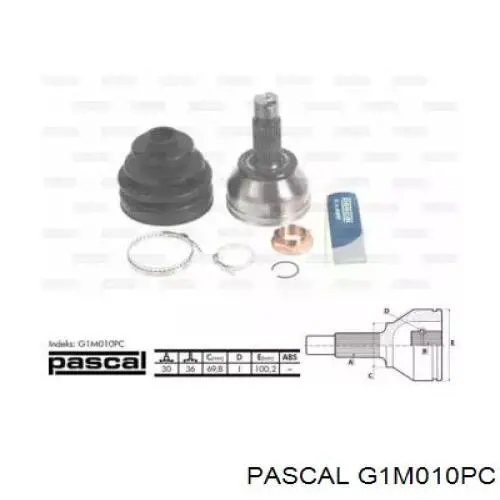 G1M010PC Pascal junta homocinética exterior trasera