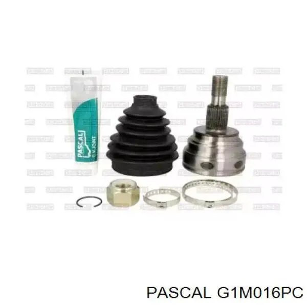 Comprar G1M016PC Pascal Junta homocinetica