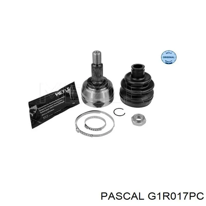Junta homocinética exterior delantera Pascal G1R017PC precio, desde 39,76 EUR