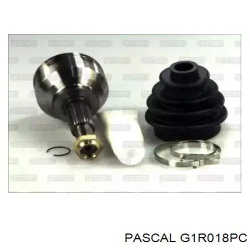 Junta homocinética exterior delantera Pascal G1R018PC