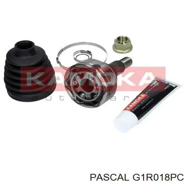 Junta homocinética exterior delantera Pascal G1R018PC precio, desde 34,99 EUR