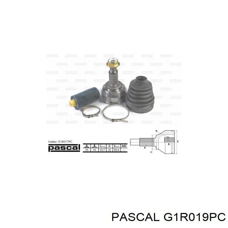 Junta homocinética exterior delantera Pascal G1R019PC precio, desde 38,49 EUR