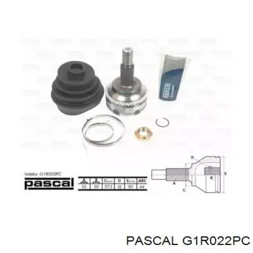 Junta homocinetica G1R022PC Pascal