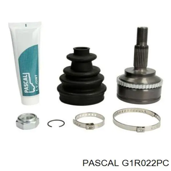 Comprar G1R022PC Pascal Junta homocinetica