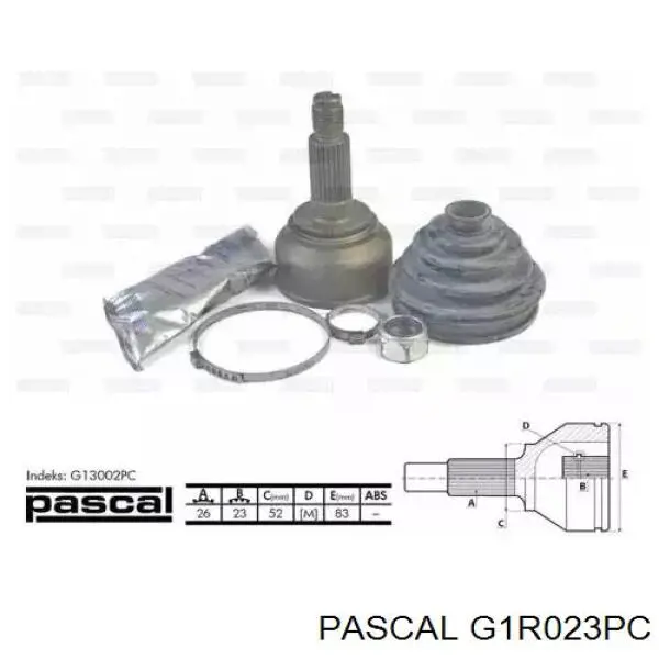 Comprar G1R023PC Pascal Junta homocinetica