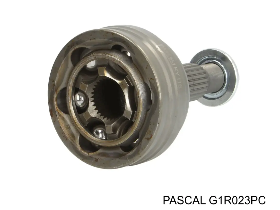 Junta homocinetica G1R023PC Pascal