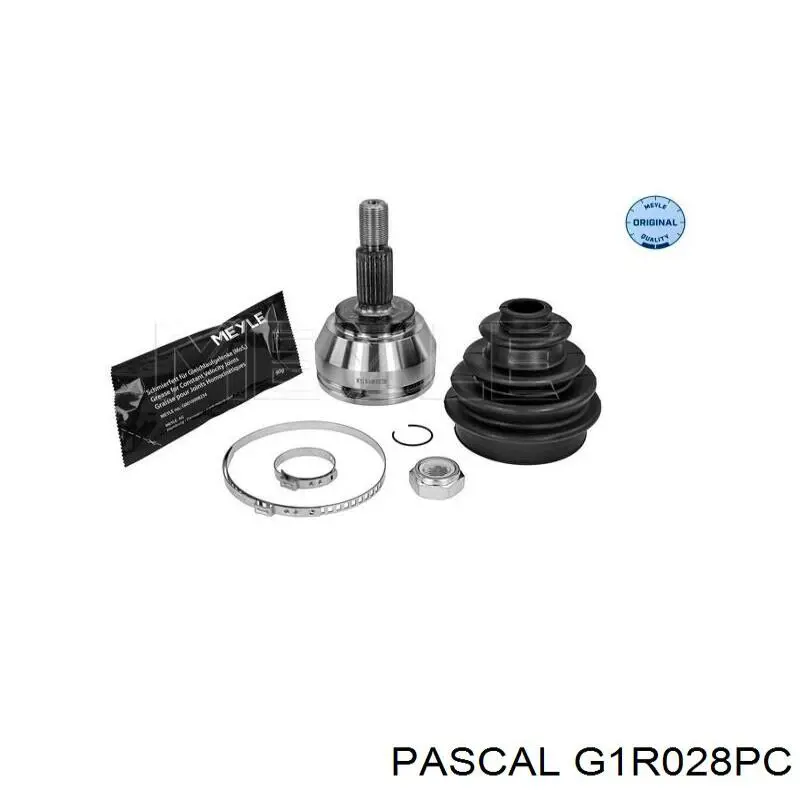 Junta homocinética exterior delantera Pascal G1R028PC precio, desde 36,61 EUR