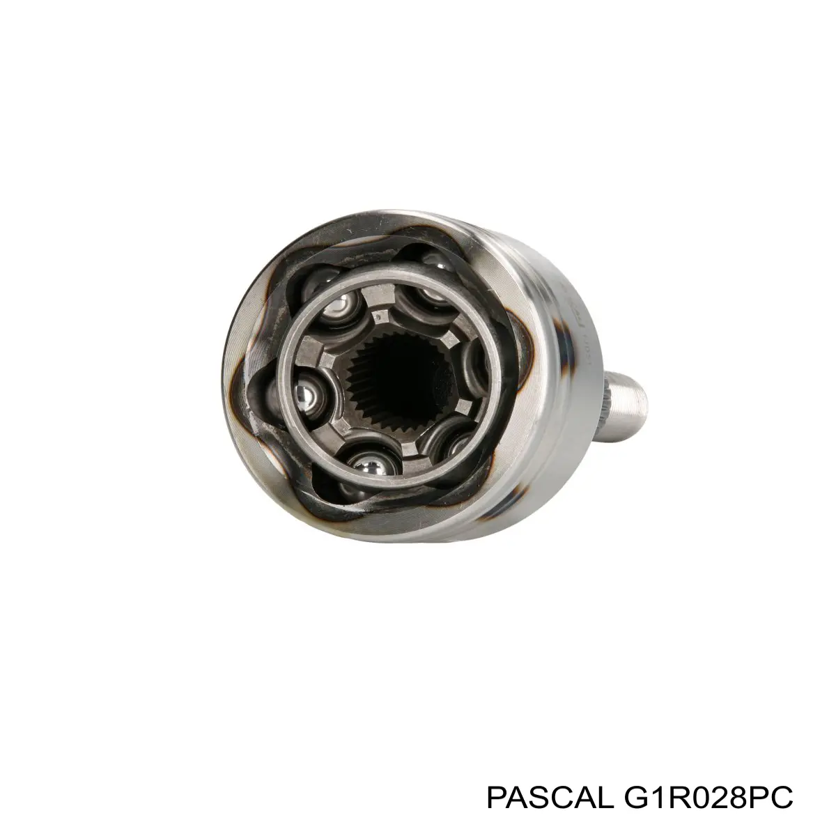 Comprar G1R028PC Pascal Junta homocinetica